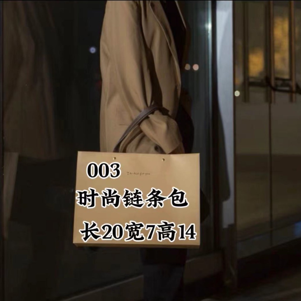 ECO 003欧式链条包单肩斜挎手拎5163-6