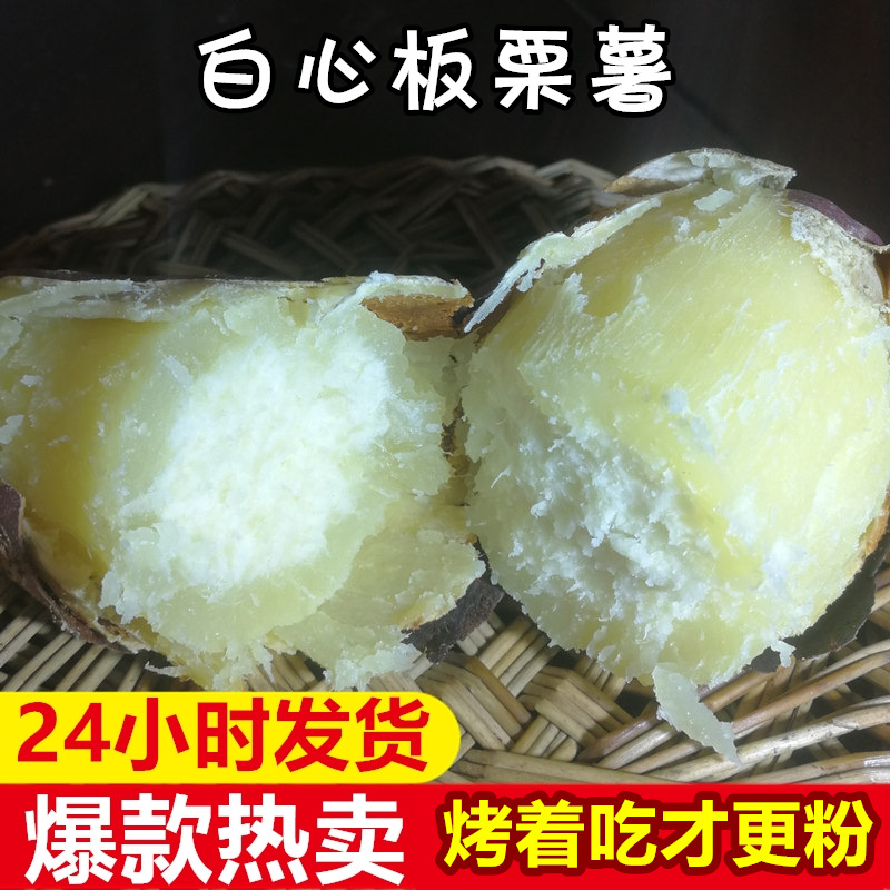 河南25年现挖新鲜白心板栗薯白瓤甜红薯2斤5斤老品种地瓜番薯白薯