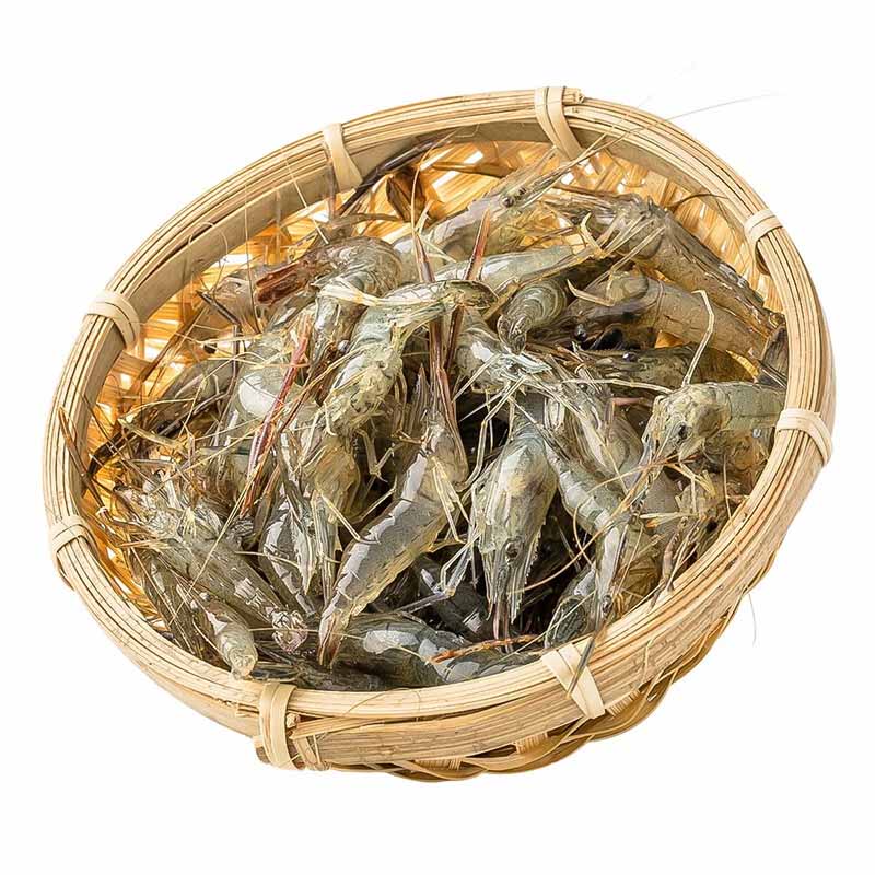 鲜活小河虾500g/份 淡水活虾 新鲜 