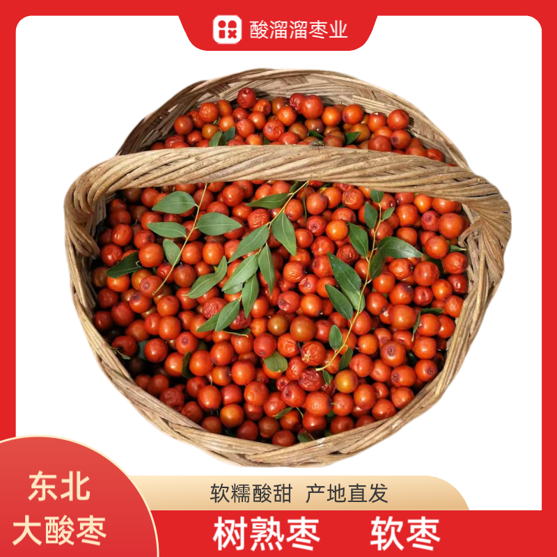辽宁朝阳大酸枣软糯酸甜软包树熟酸枣