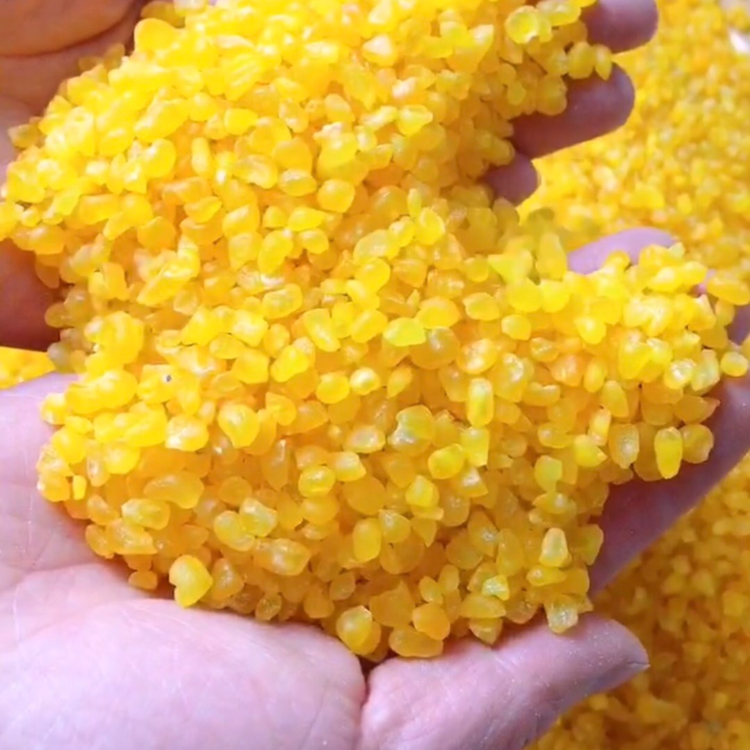 五常青稞糯玉米碴熟粘掉碴子新鲜粗粮主食五斤装