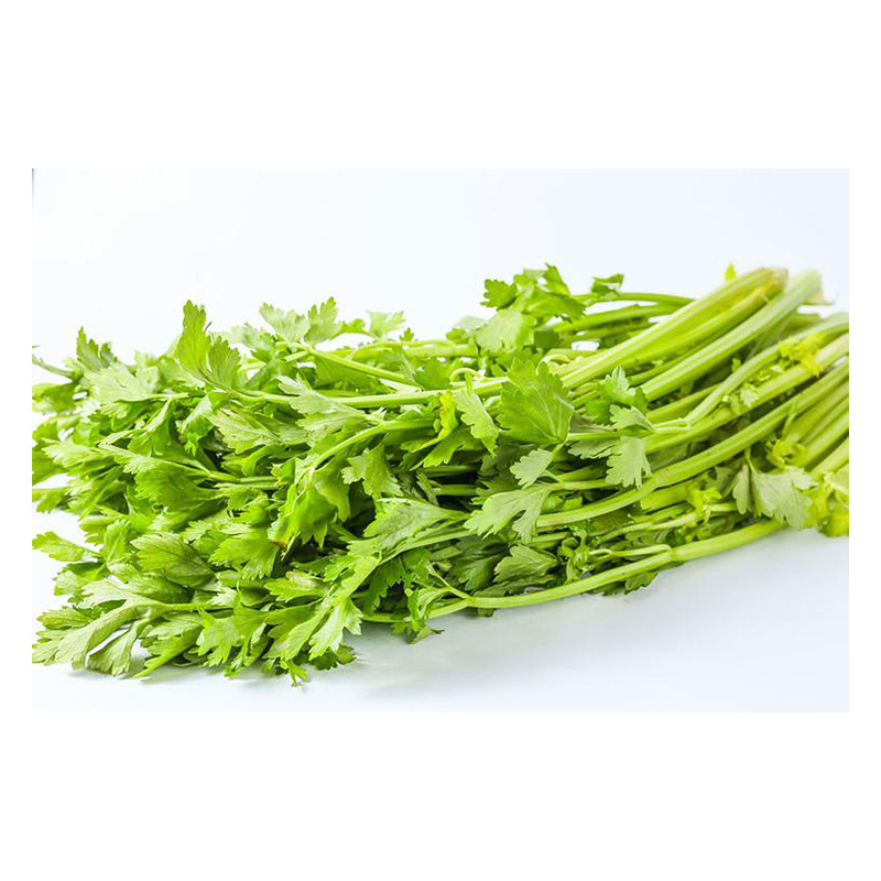 【小鱼儿生鲜超市】新鲜香芹