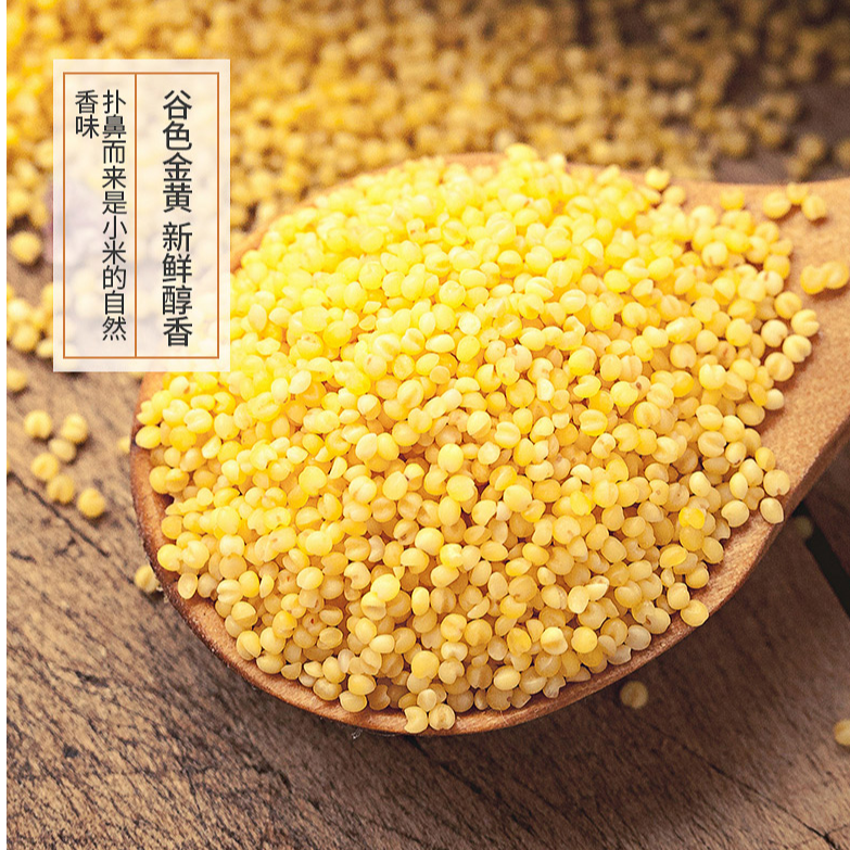 2024新鲜小米 粘糯香甜 富有米油