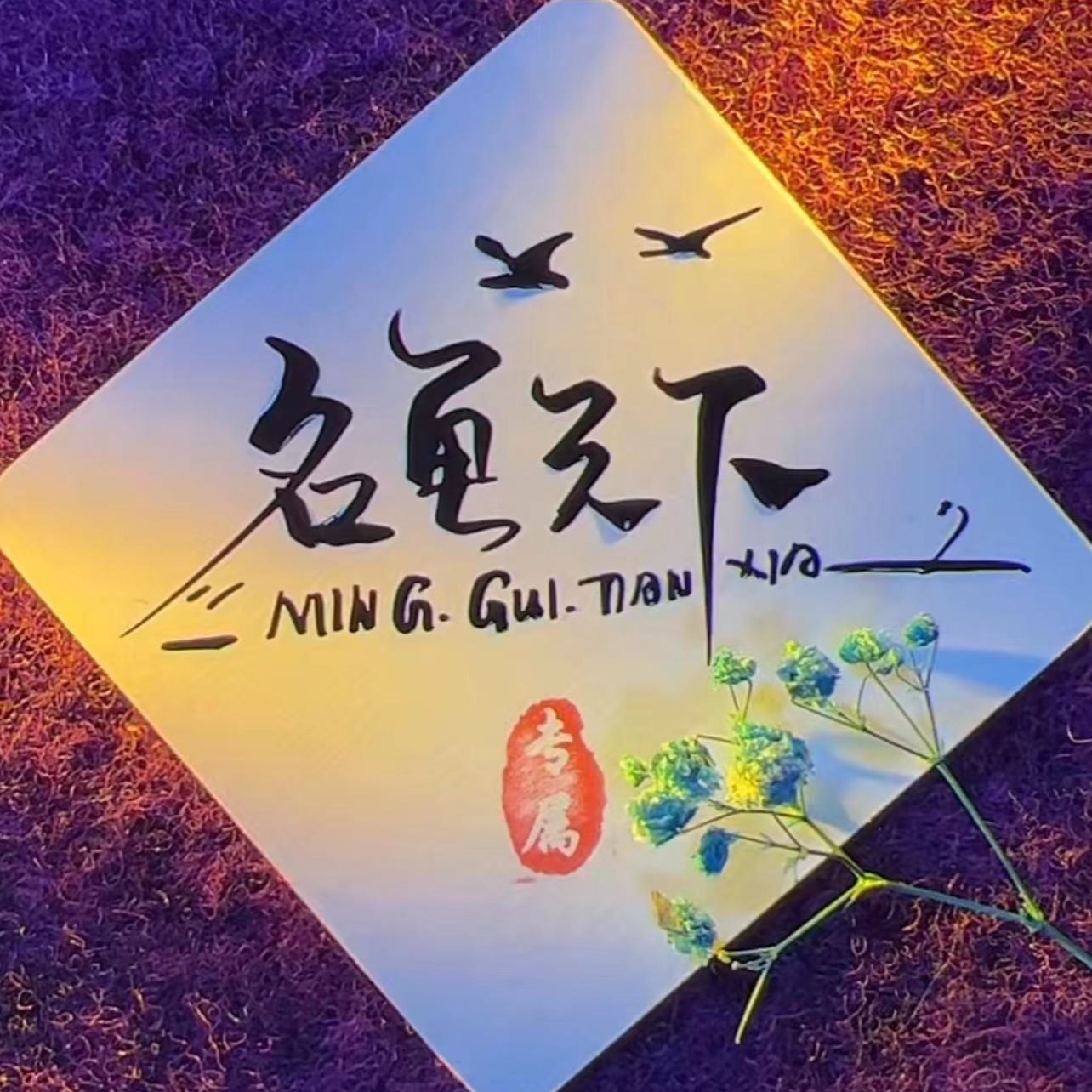 直播间龟鳖链接500-10000元请勿乱拍深水龟巴西龟各种稀有品种