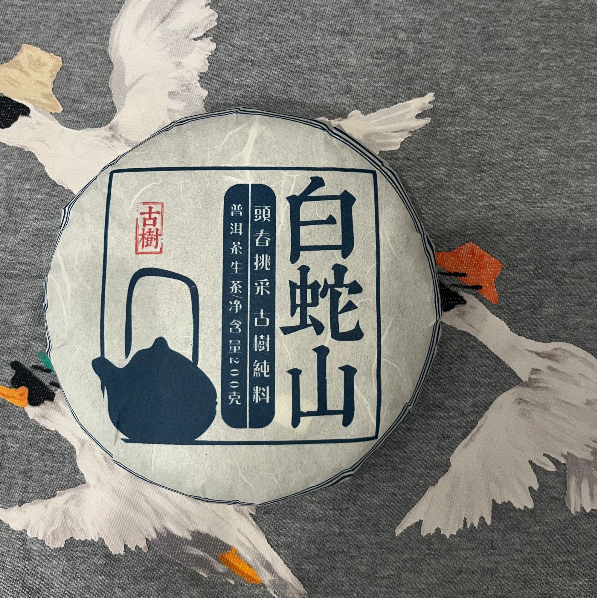 2023白蛇山古树头春头採