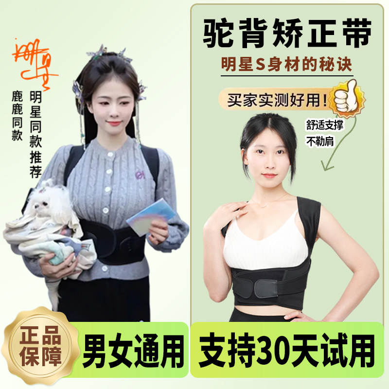 【白鹿同款】贝佳璐矫正驼背神器背部矫正成人男女士专用驼背矫正带