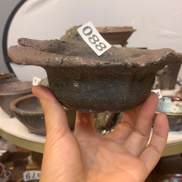 红陶20CM（含）-50CM（不含）内10.5×4