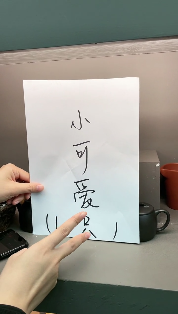 【闪购商品】紫砂茶壶小可爱 一把