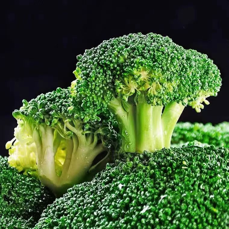 西兰花苗菜苗西兰花幼苗秧苗耐寒抗冻批发蔬菜秧苗种苗青花花菜苗