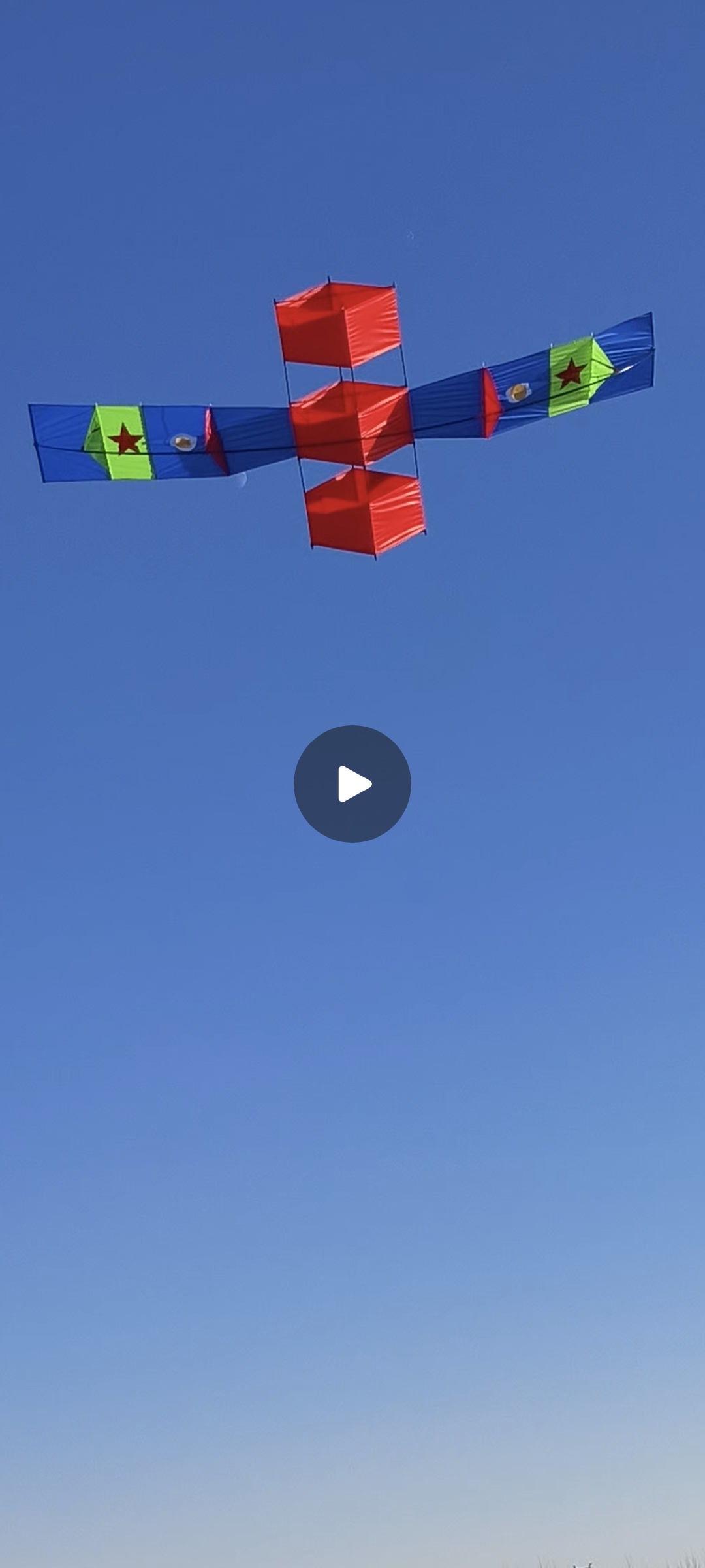 咏春2.9米伞布碳杆卫星异形立体造型独特微风易飞