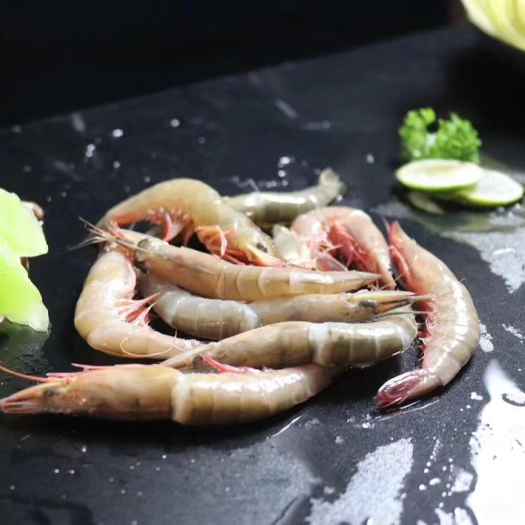 东海海捕纯野生小号滑皮虾鹰抓虾硬壳虾剑虾条虾4斤顺丰包邮