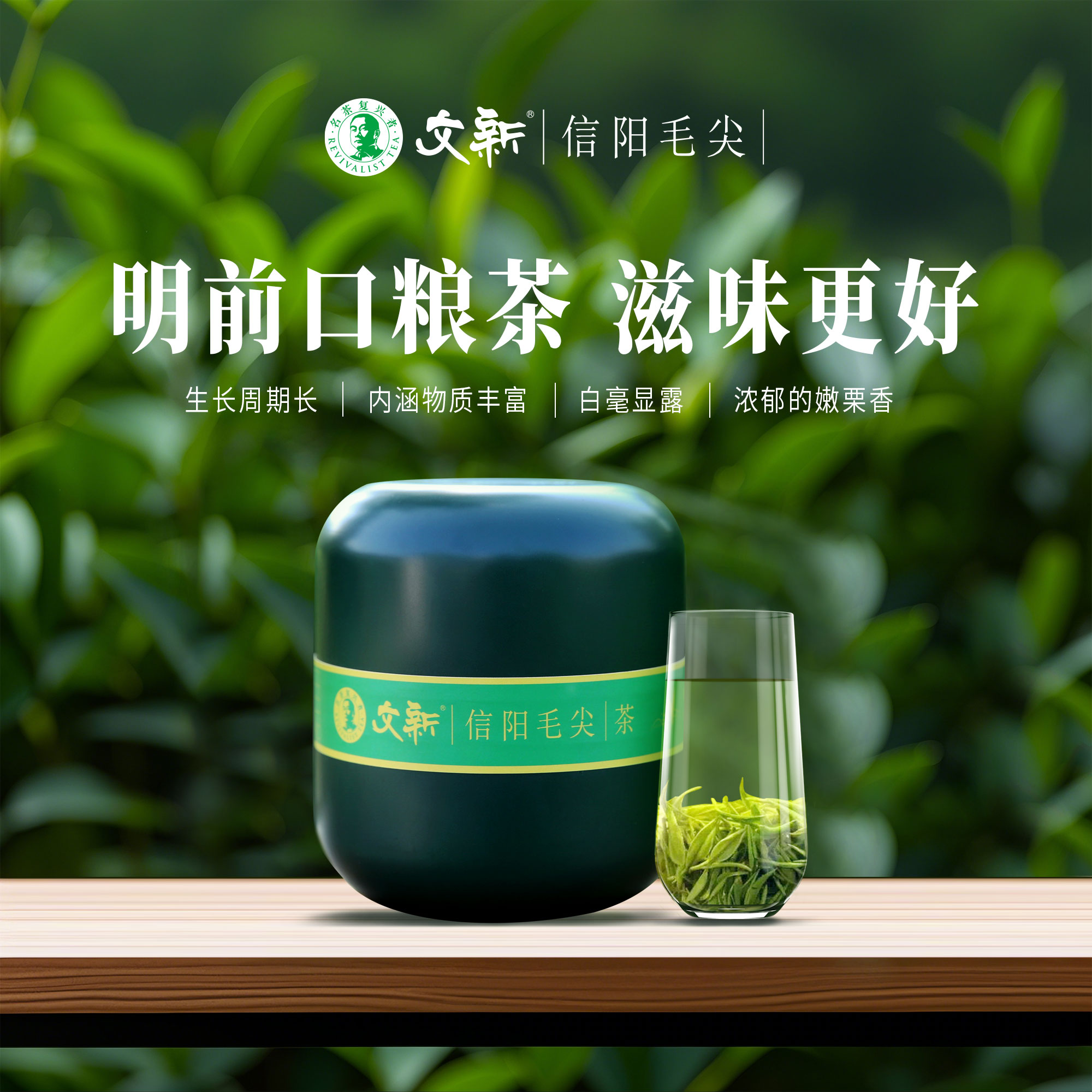 【2025年新茶】文新信阳毛尖小绿罐50g明前口粮茶