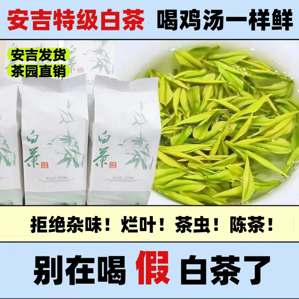 白茶2023新茶明前春茶黄金叶正宗高档黄金芽手工白茶正宗安吉原产