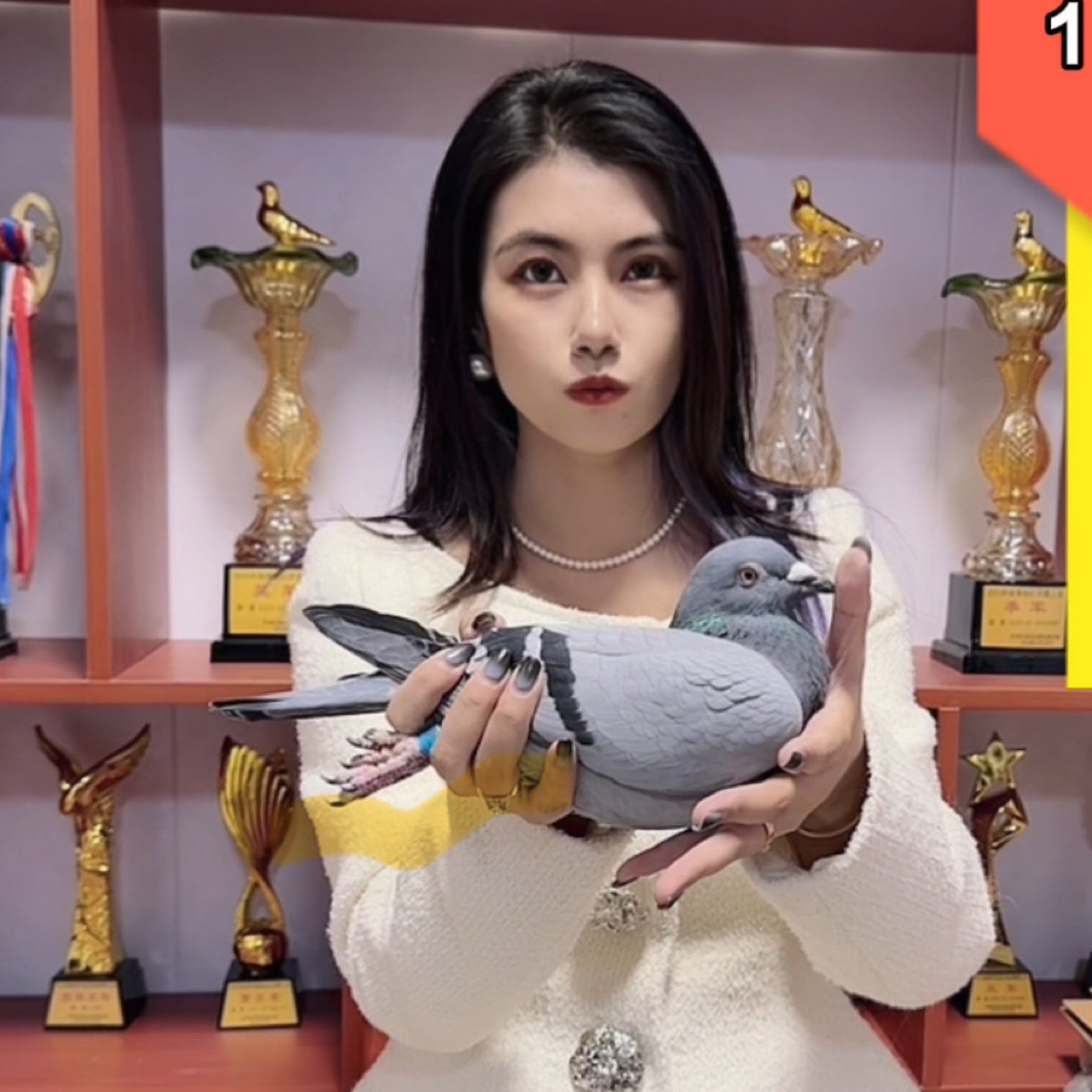 信鸽-足环-信鸽用品