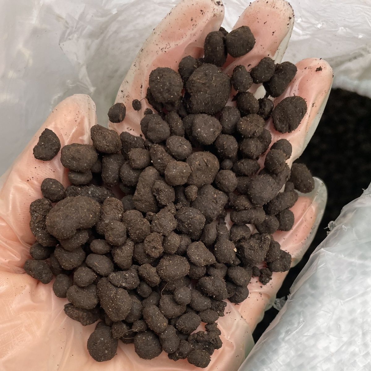 这是一款非常好的有机肥,对兰花长壮,长根有很大的好处!