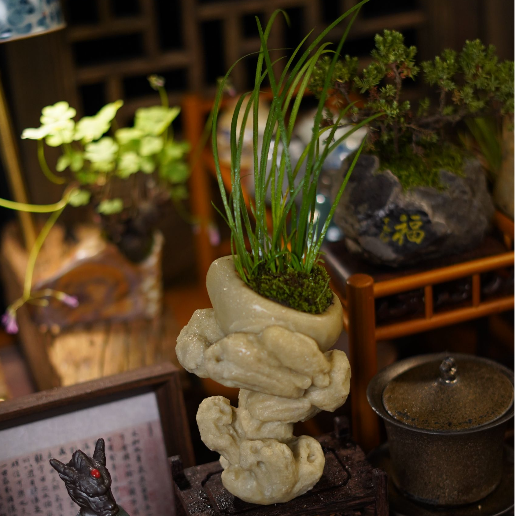 【收藏级青玉冻菖蒲】泰顺石高端盆景盆栽茶室摆件书房摆件掌中宝