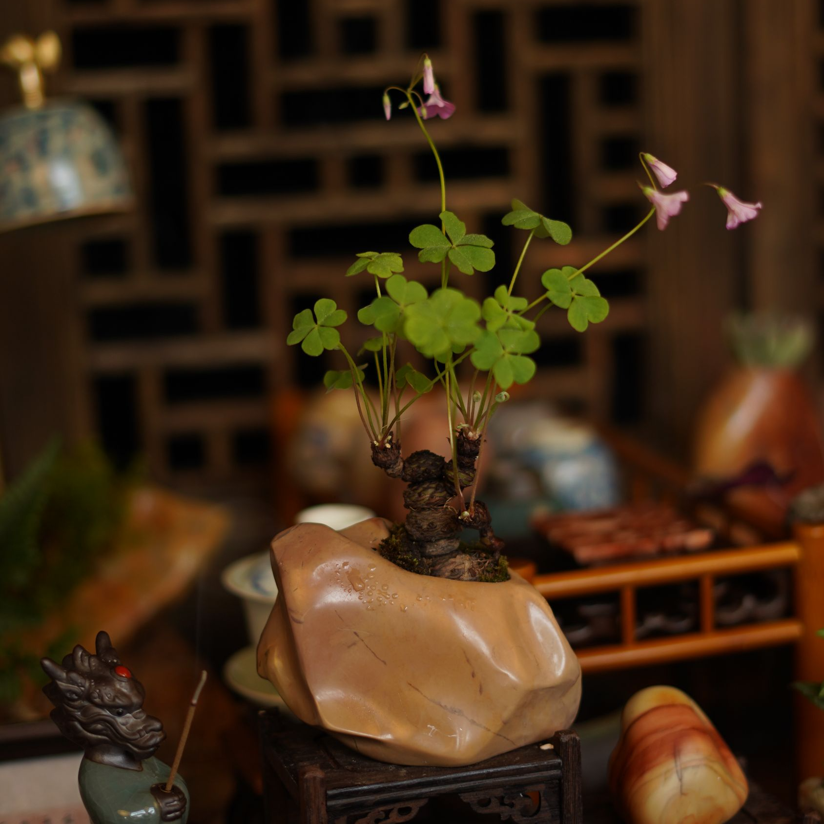 【多彩酢浆】泰顺石高端盆景盆栽茶室摆件书房摆件掌中宝