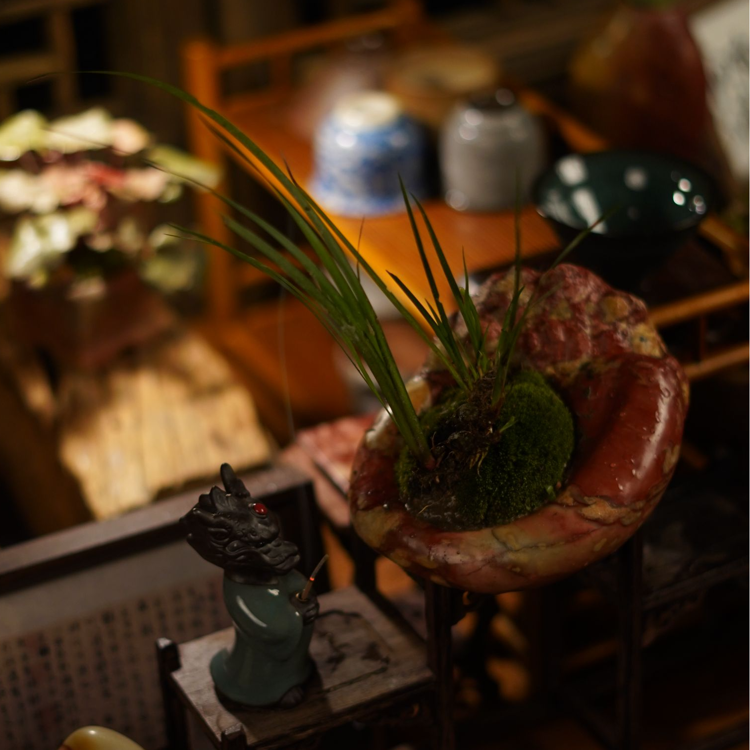 【珍藏级多彩红花菖蒲】泰顺石高端盆景茶室摆件书房摆件掌中宝A005