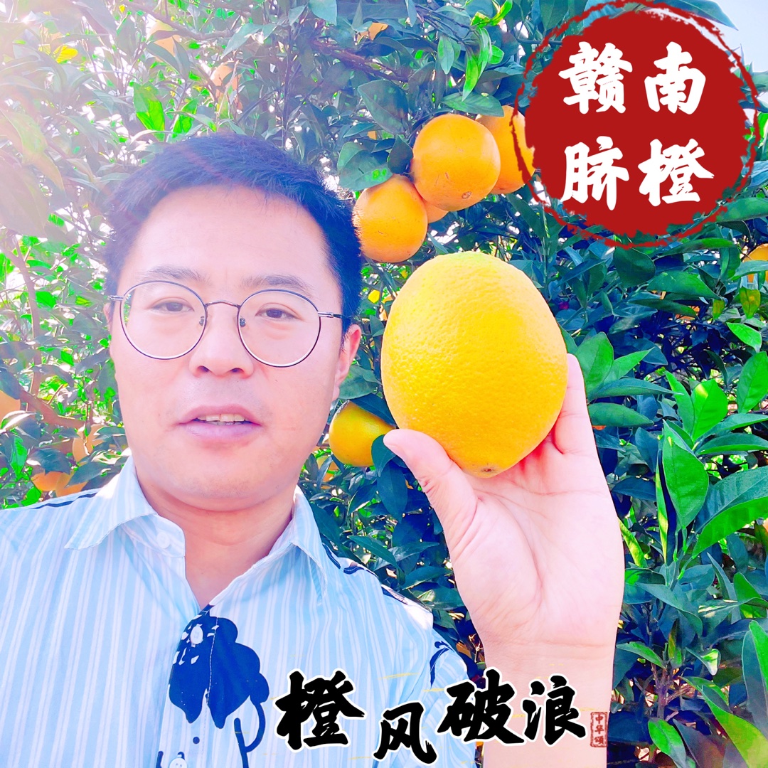 【年年自营】正宗赣南脐橙带箱10斤顺丰包邮-新采直发橙香爆汁