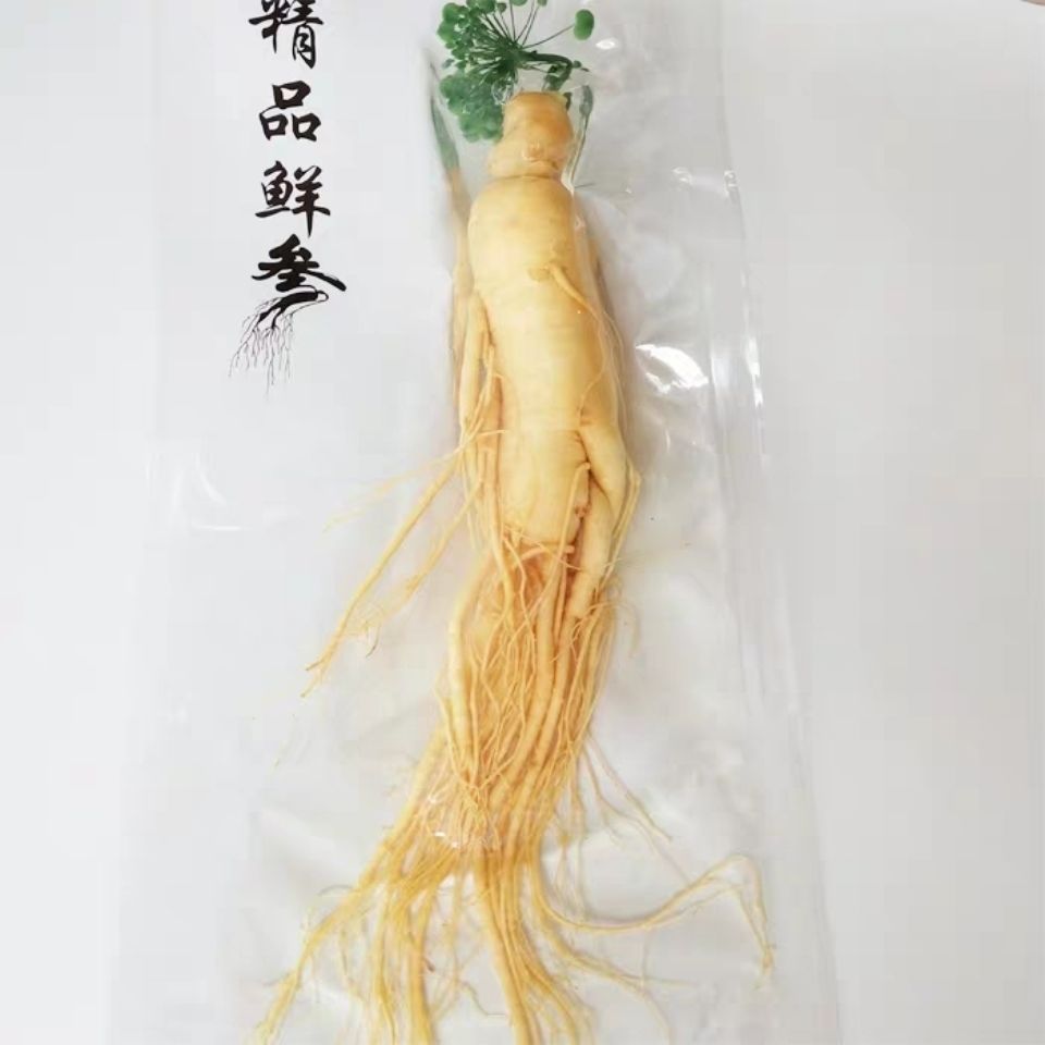 长白山保鲜人参带皮一根参保鲜参优质精品食用深山