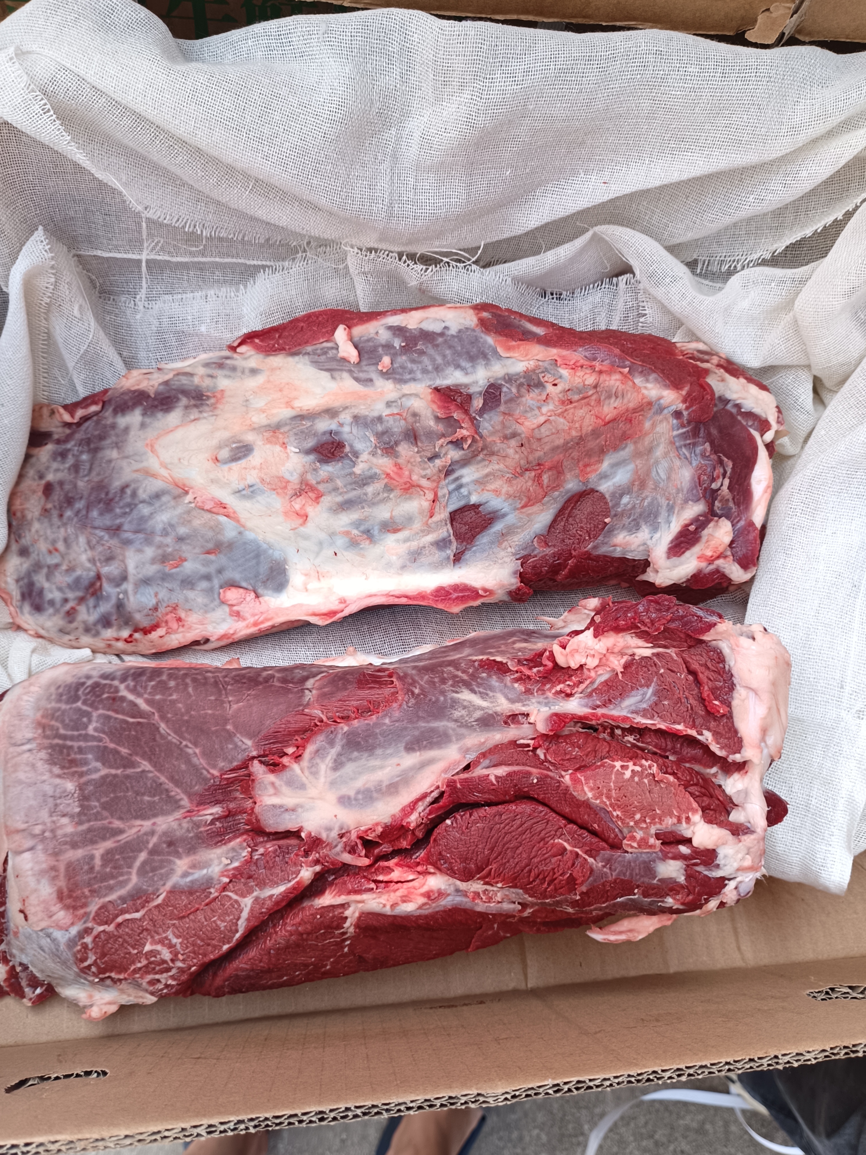 鲜板腱，精修，纯干，无油，公牛