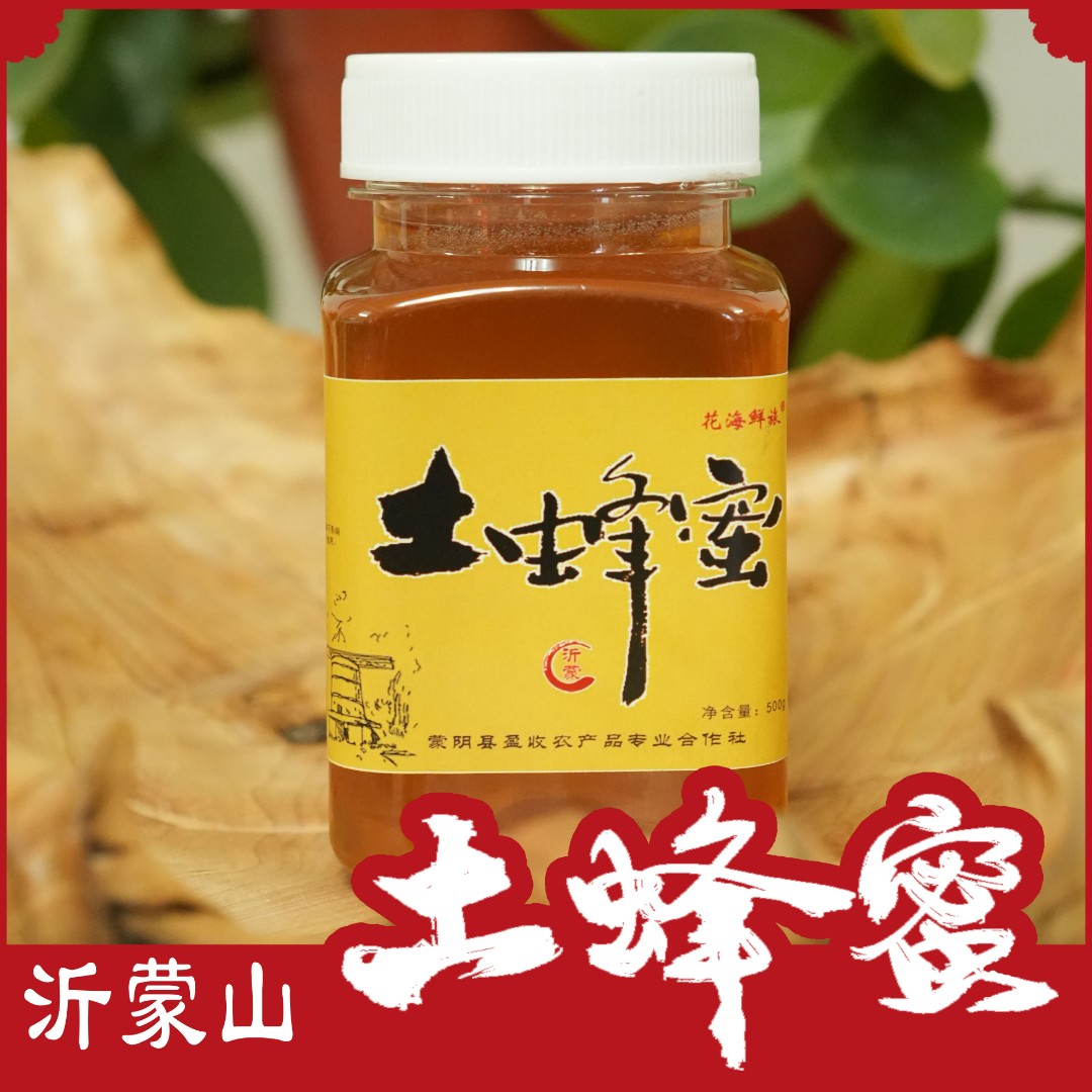 沂蒙山500g/瓶-蜂蜜农家土蜂蜜土蜂蜜100%纯蜂蜜