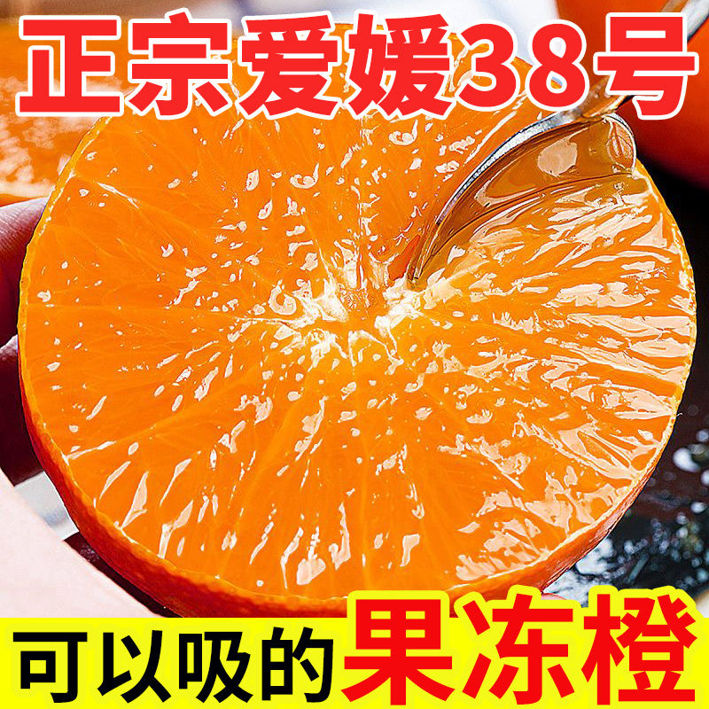 【头茬现摘现发】四川正宗爱媛38号果冻橙5/8斤装皮薄香甜多汁