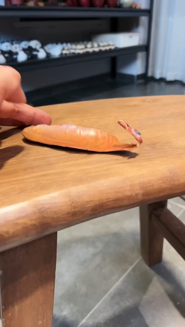 【闪购商品】茶道配件茶道配件