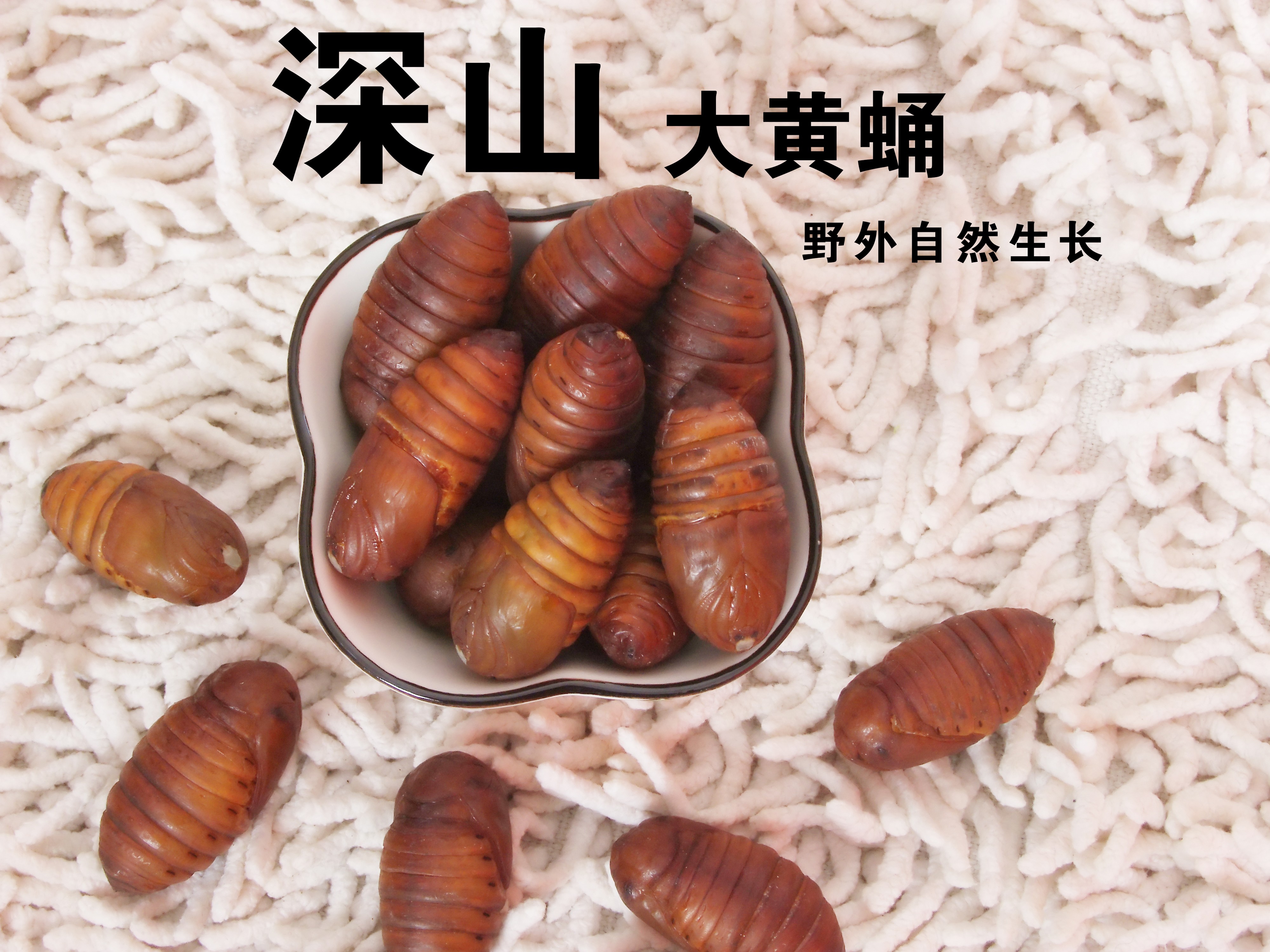 2025年新蚕蛹野生东北柞蚕蛹大黄蛹