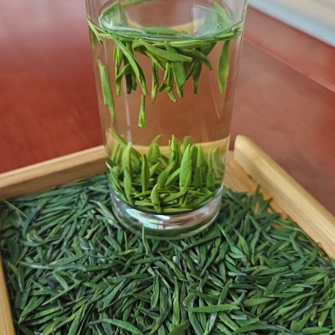 2025新茶贡芽 头春头采明前恩施富硒贡芽