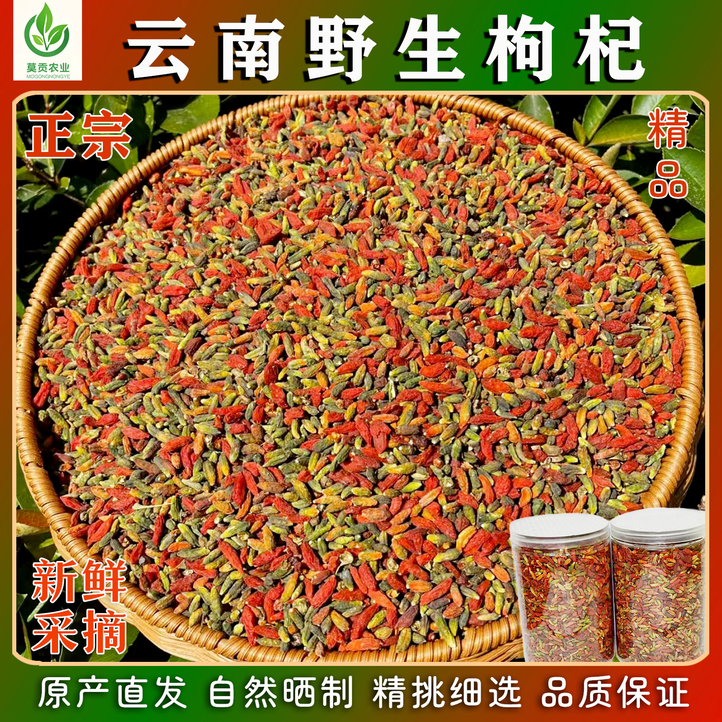 云南精品枸杞500g枸杞子正宗大颗粒红苟杞构纪茶茶泡水泡酒无硫