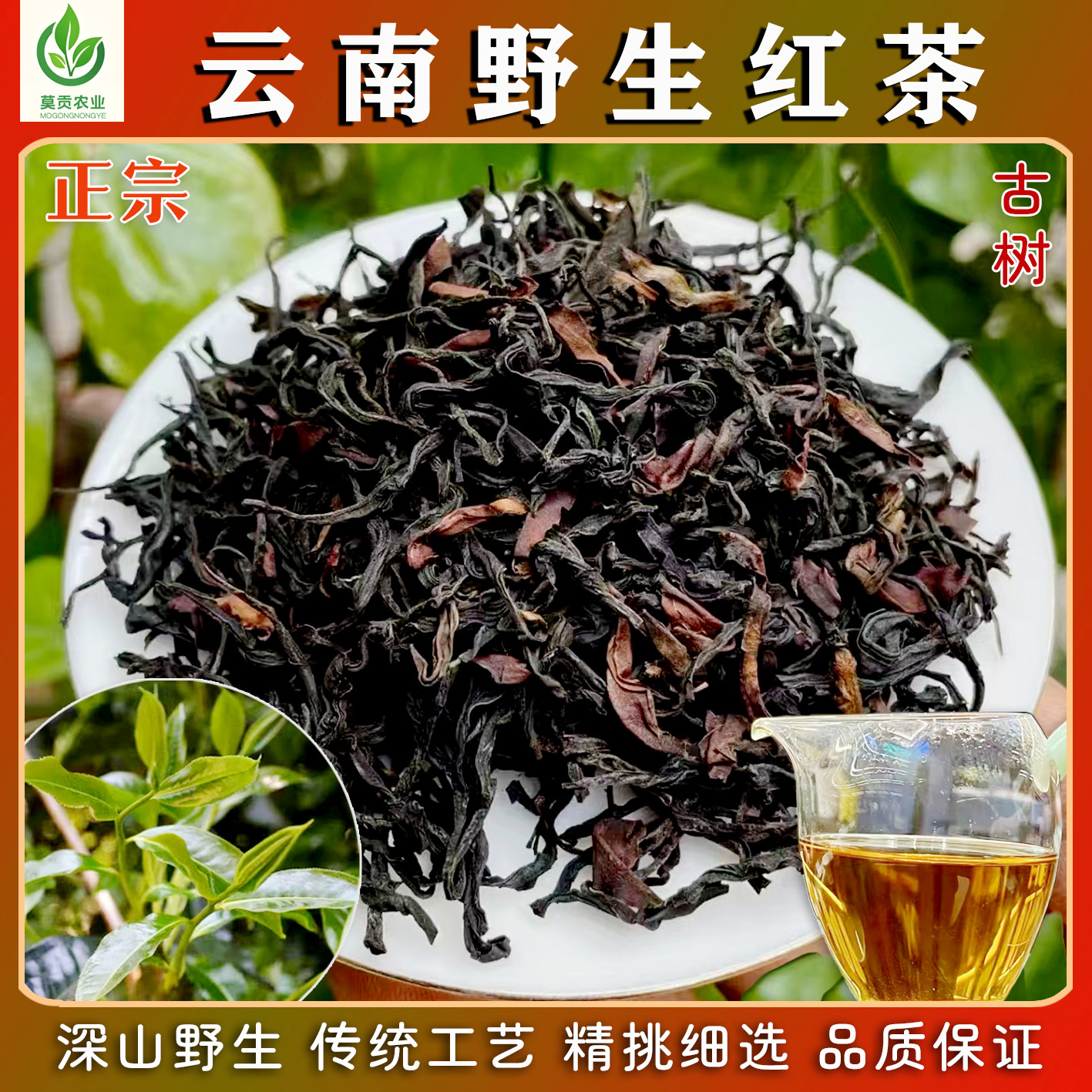云南腾冲古树红茶当季现采新茶古法工艺发酵深山精选优质茶叶
