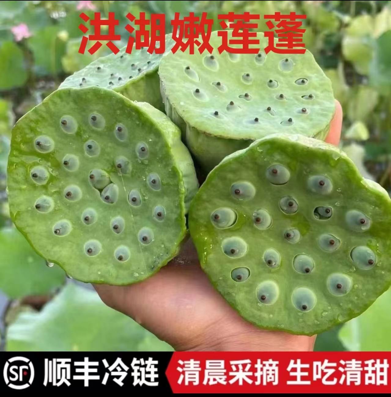 【顺丰包邮】湖北洪湖新鲜嫩莲蓬带绿壳莲蓬生吃清甜清香饱满