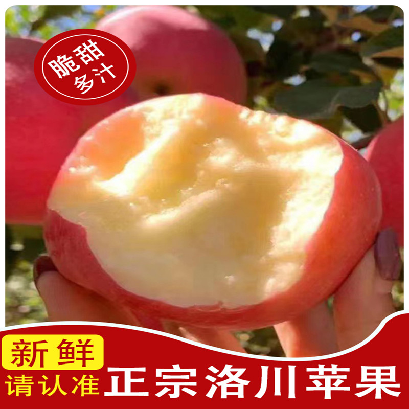 【现摘现发正宗洛川苹果带箱9-10斤】陕西红富士苹果脆甜多汁水孕妇