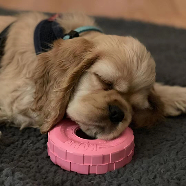 KONG幼犬轮胎狗漏食玩具柔软橡胶宠物狗用品磨牙智力狗狗玩具耐咬