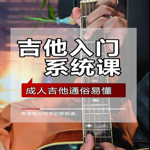 入门系统课+扒带