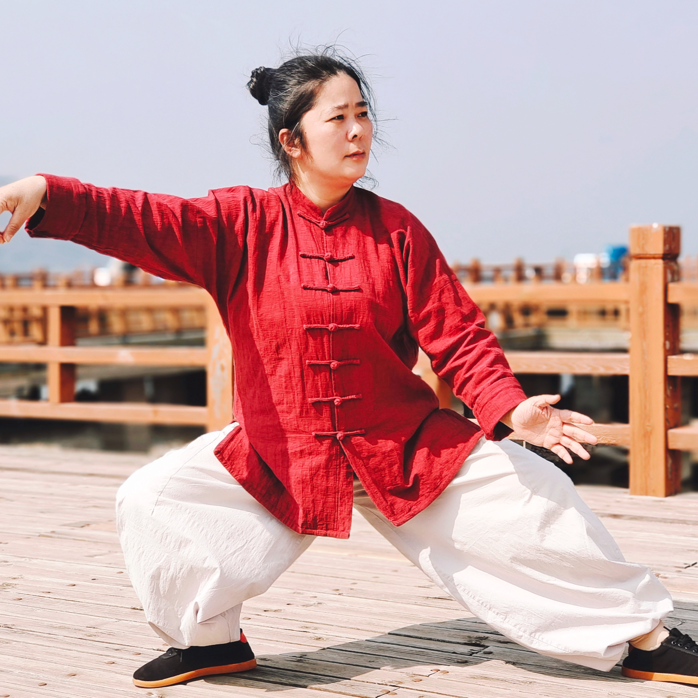 传统杨氏太极拳85式讲解