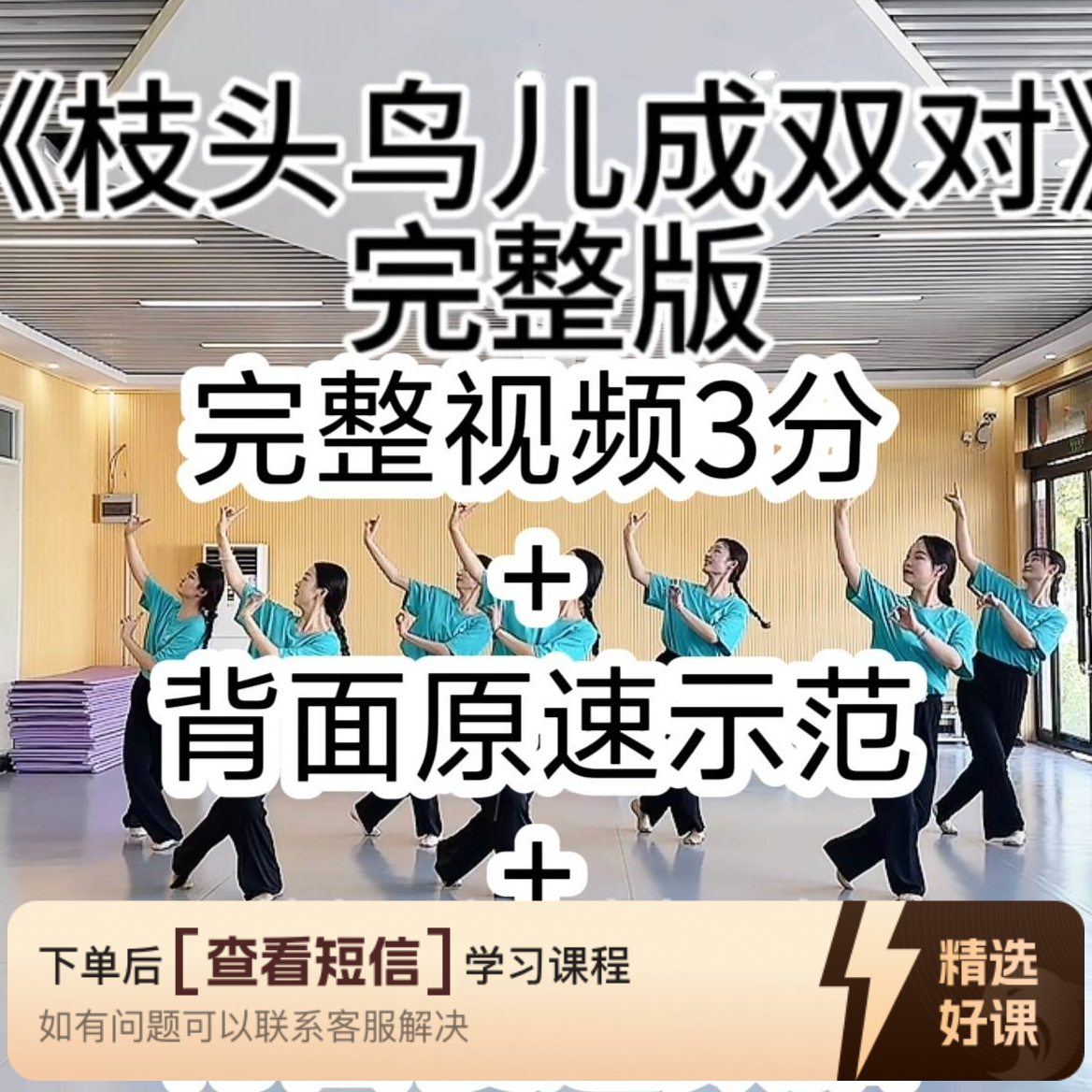 (安卓端专用）《枝头鸟儿成双对》舞蹈（留意短信解锁课程）