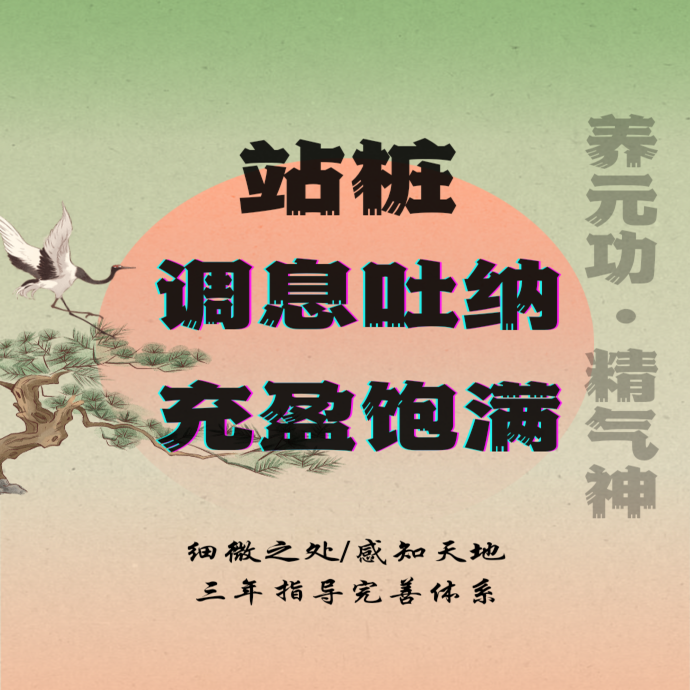 站桩细致教学+直播（留意短信解锁课程）