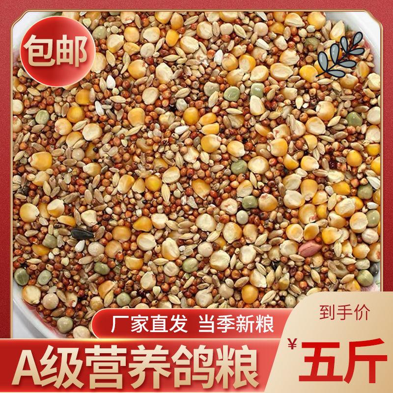 玉米粒鸽粮50斤包邮有无玉米鸟食饲料鸽粮大全观赏鸽幼鸽成鸽家禽