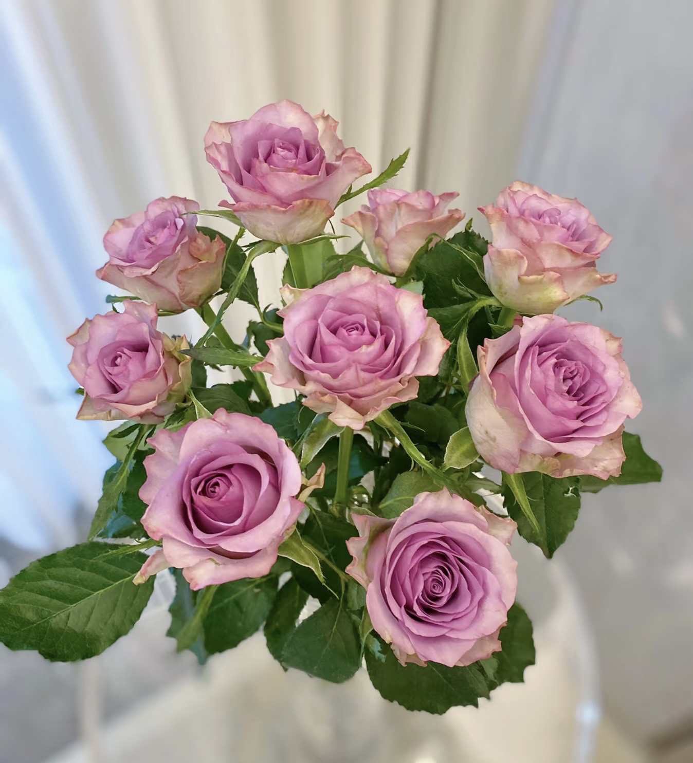 【紫霞仙子】紫色鲜花高雅浪漫花束云南直发20支装（任意两单包邮）