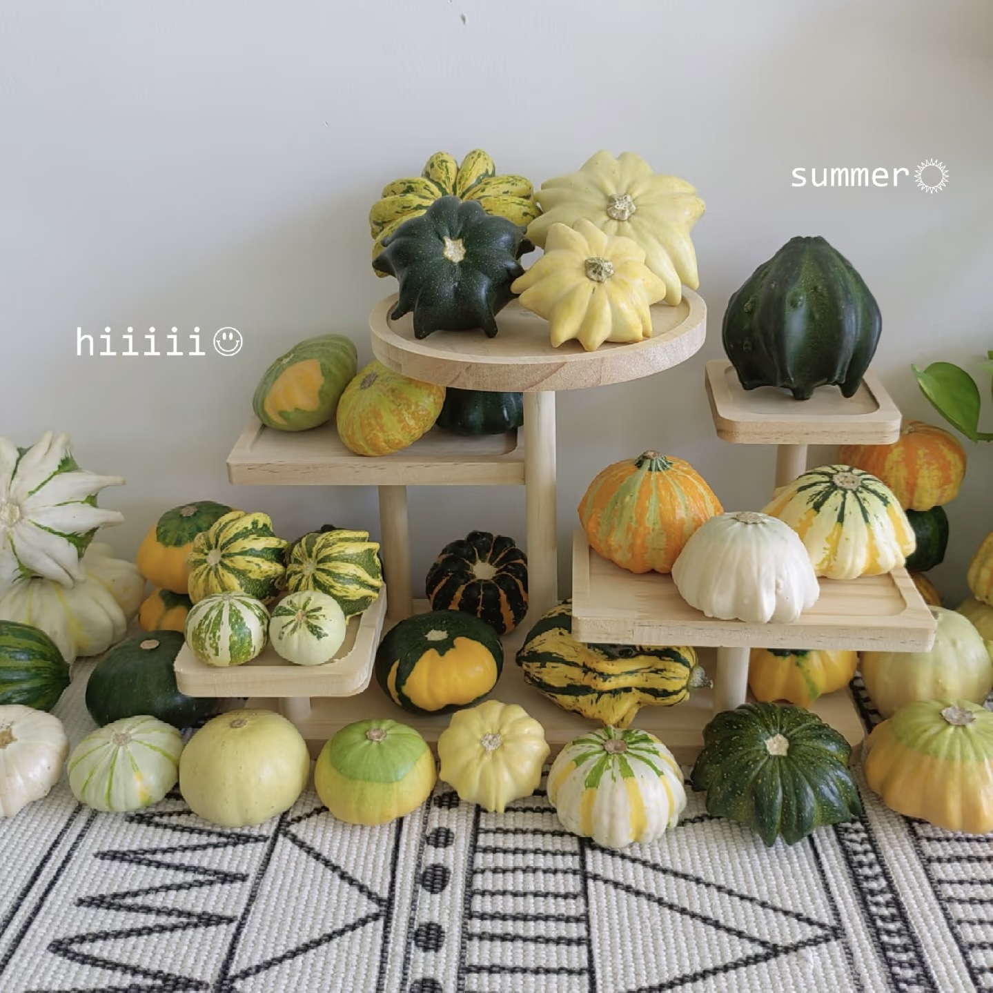 【墨西哥小南瓜】葫芦绿色迷你装饰摆件文玩花材精品任意两单包邮