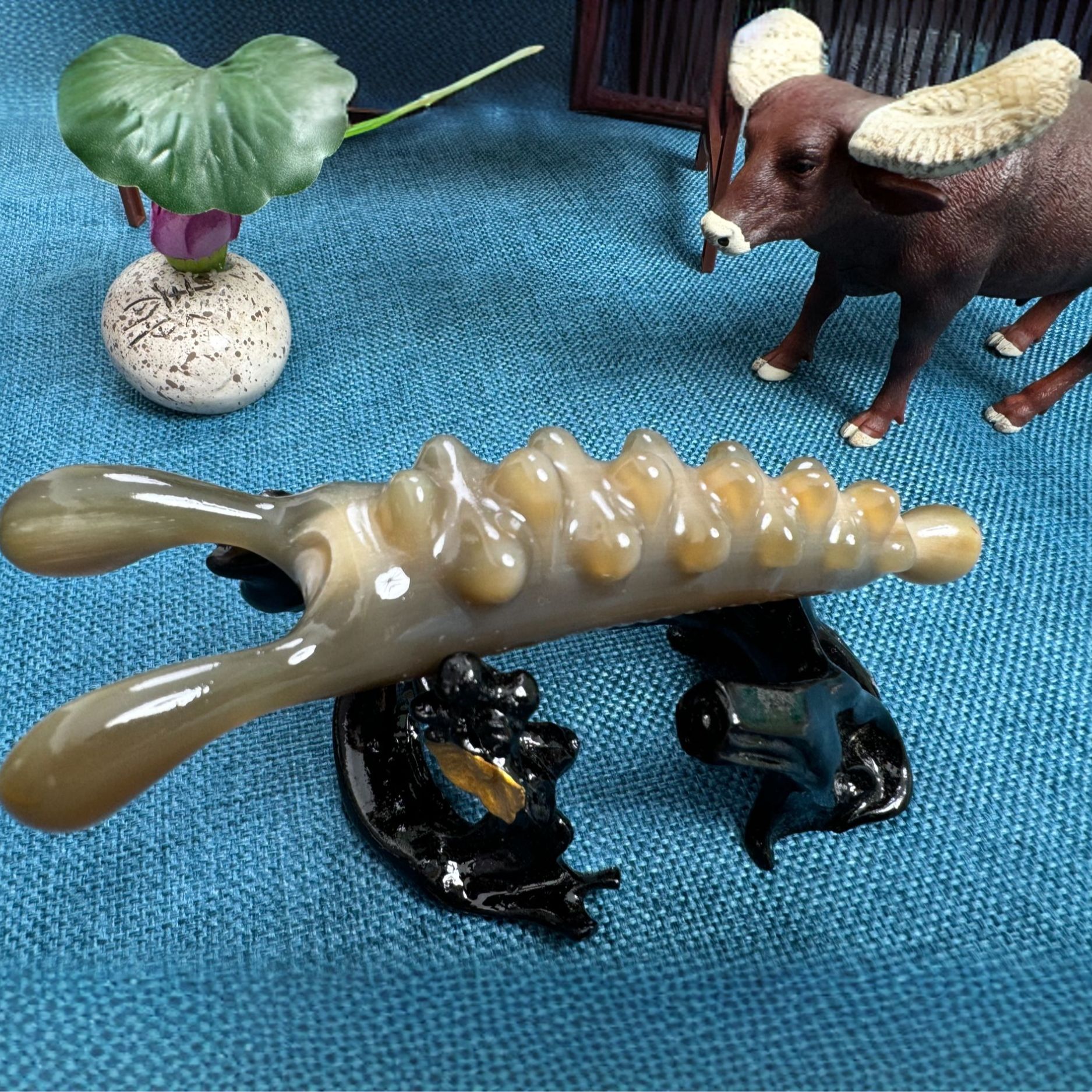 精品海参鼻刮疏通