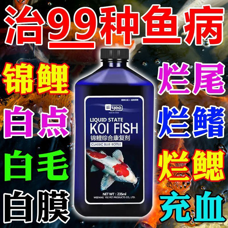 【观赏鱼专用】 金鱼锦鲤热带鱼观赏鱼白点烂肉水族专用亚甲基蓝