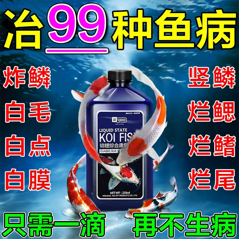 锦鲤鱼病专用剂万能观赏鱼综合康复剂烂嘴烂肉烂身烂鳃烂尾虫杀菌