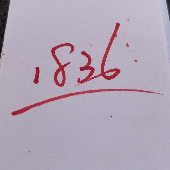 1836一个一个一个