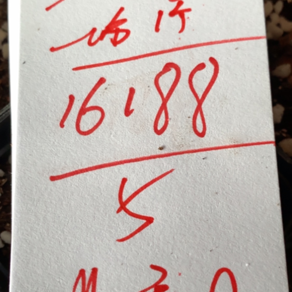 【闪购商品】16188佛座箍一个