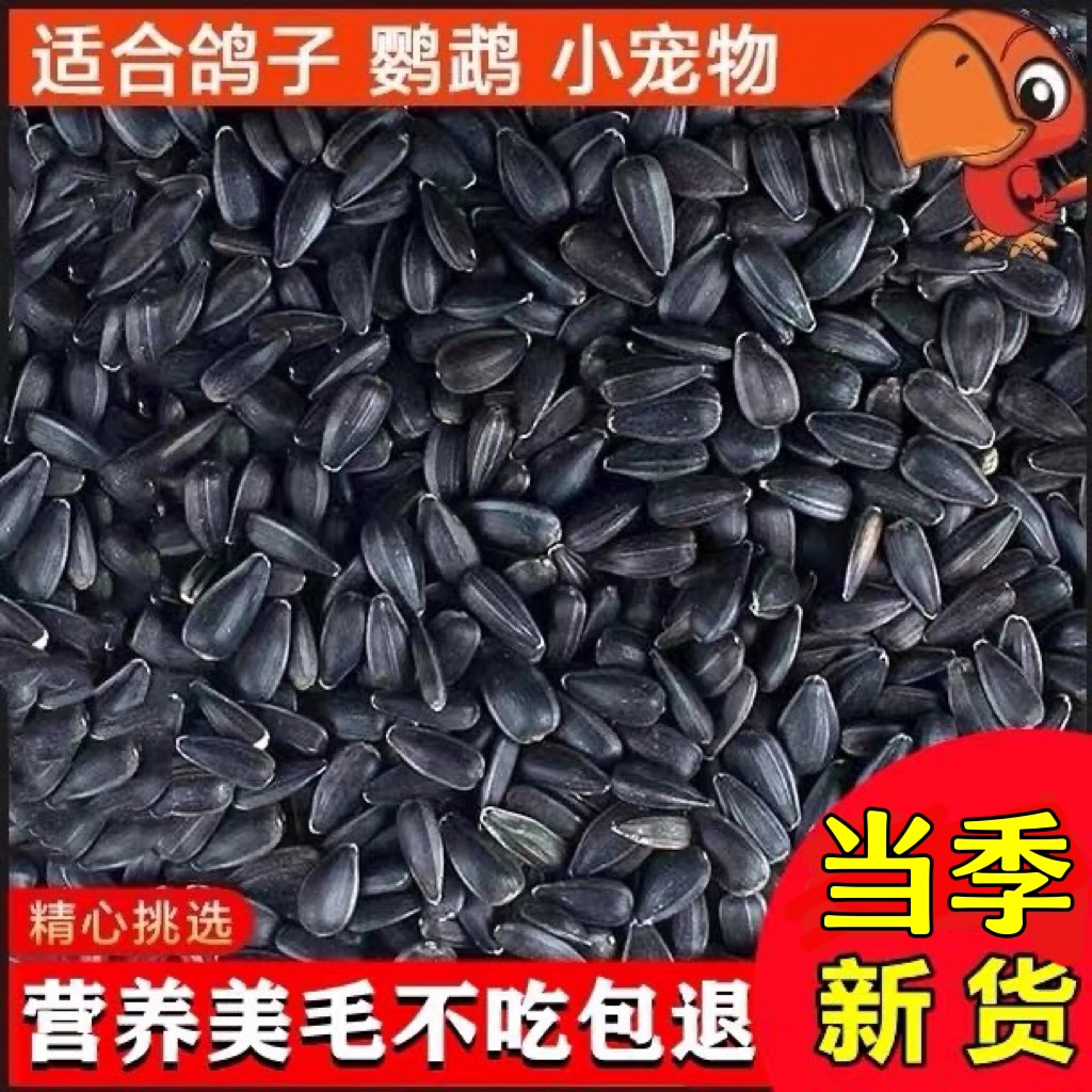 鸟食训练奖励零食油葵小瓜子鸟粮食玄凤虎皮鹦鹉吃的葵花籽珍珠鸟