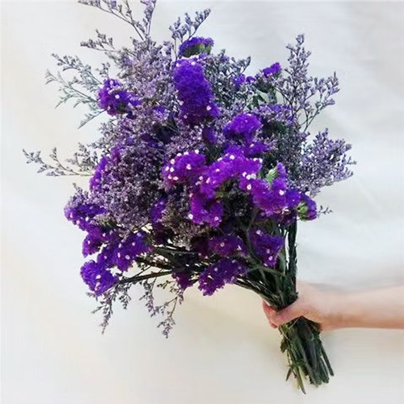 新疆包邮大束勿忘我干花花束真花家居装饰摆件客厅摆放花