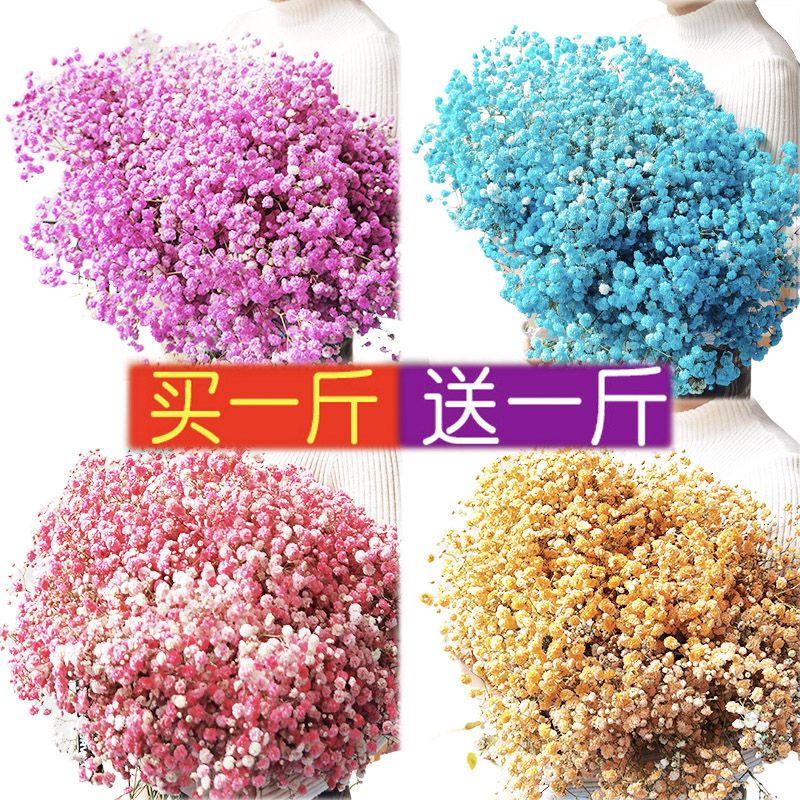 新疆包邮满天星干花花束客厅摆设装饰摆件批发天然真鲜花瓶实用52